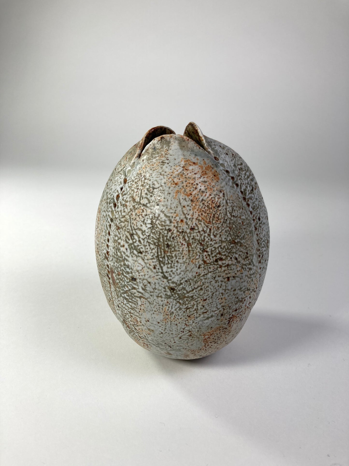 Stoneware Seed Vessel by Alan Wallwork