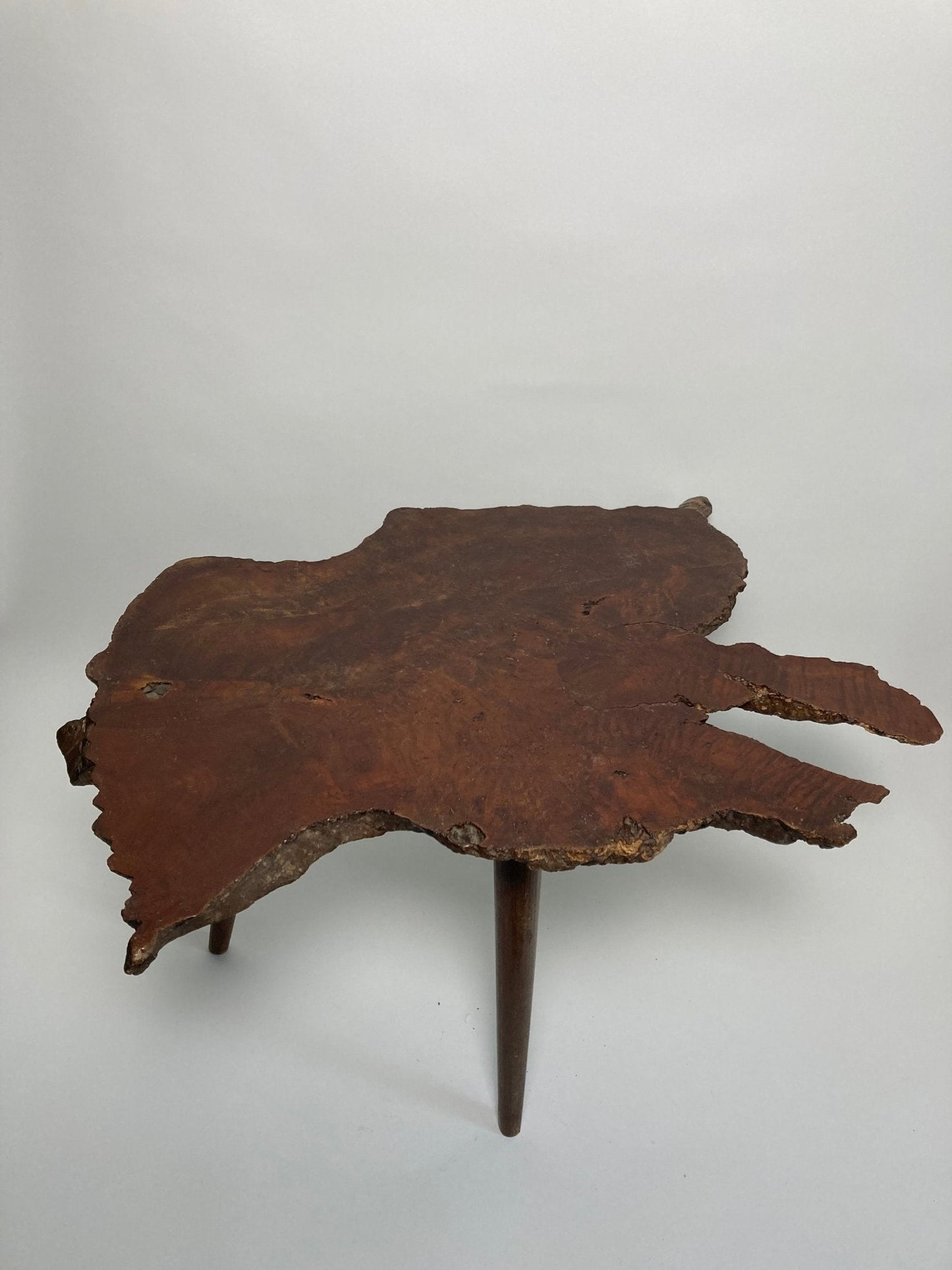 Naturalist Wood Coffee Table - Madden & McHugh