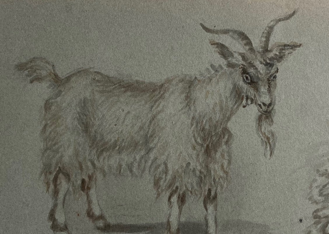 School of Francesco Londonio Goat Study in ink