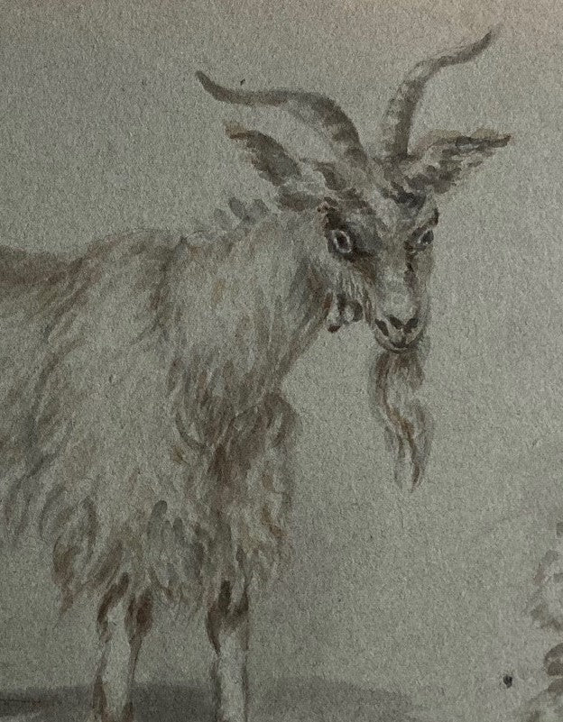 School of Francesco Londonio Goat Study in ink