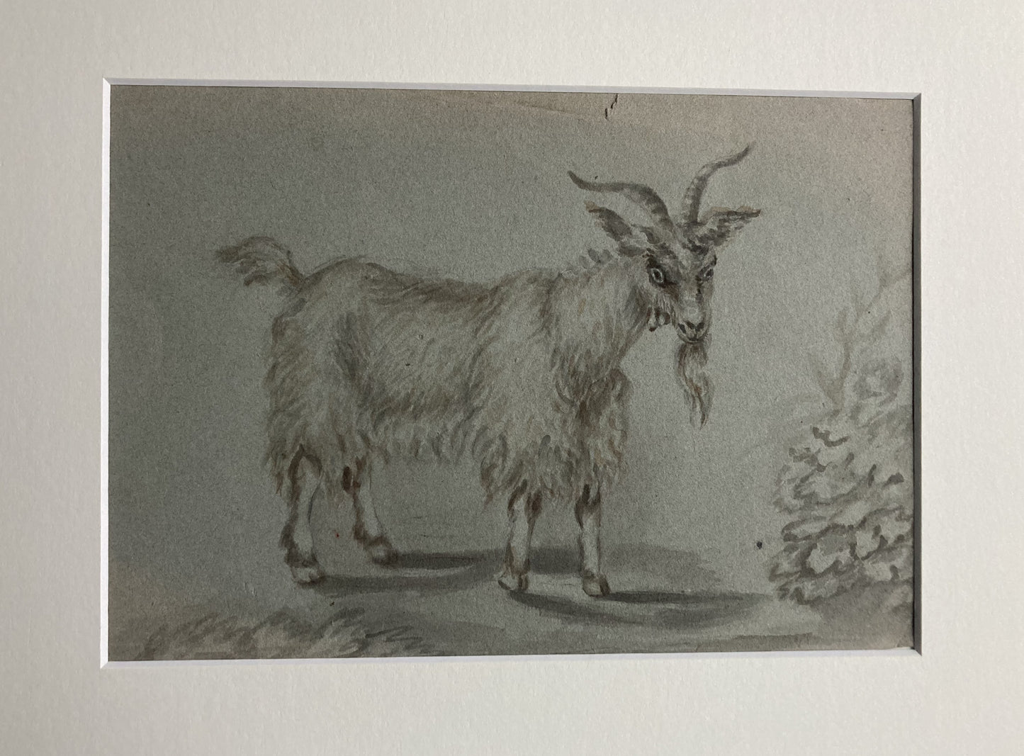 School of Francesco Londonio Goat Study in ink