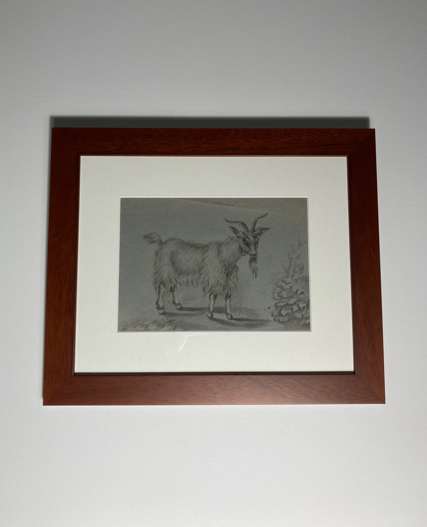 School of Francesco Londonio Goat Study in ink