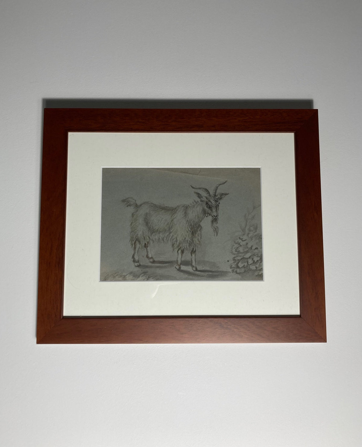 School of Francesco Londonio Goat Study in ink