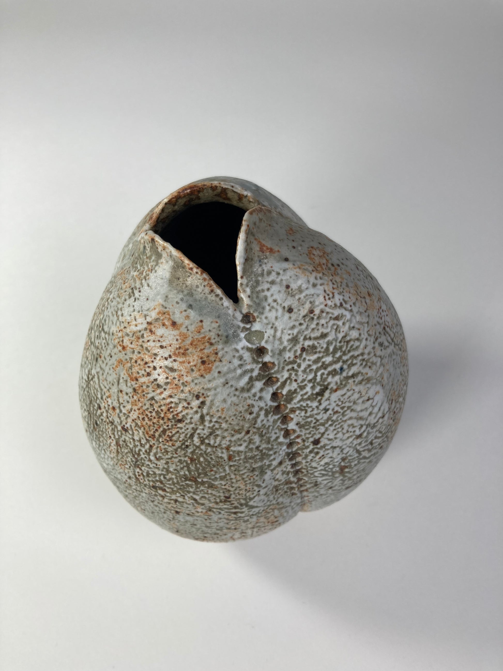 Stoneware Seed Vessel by Alan Wallwork