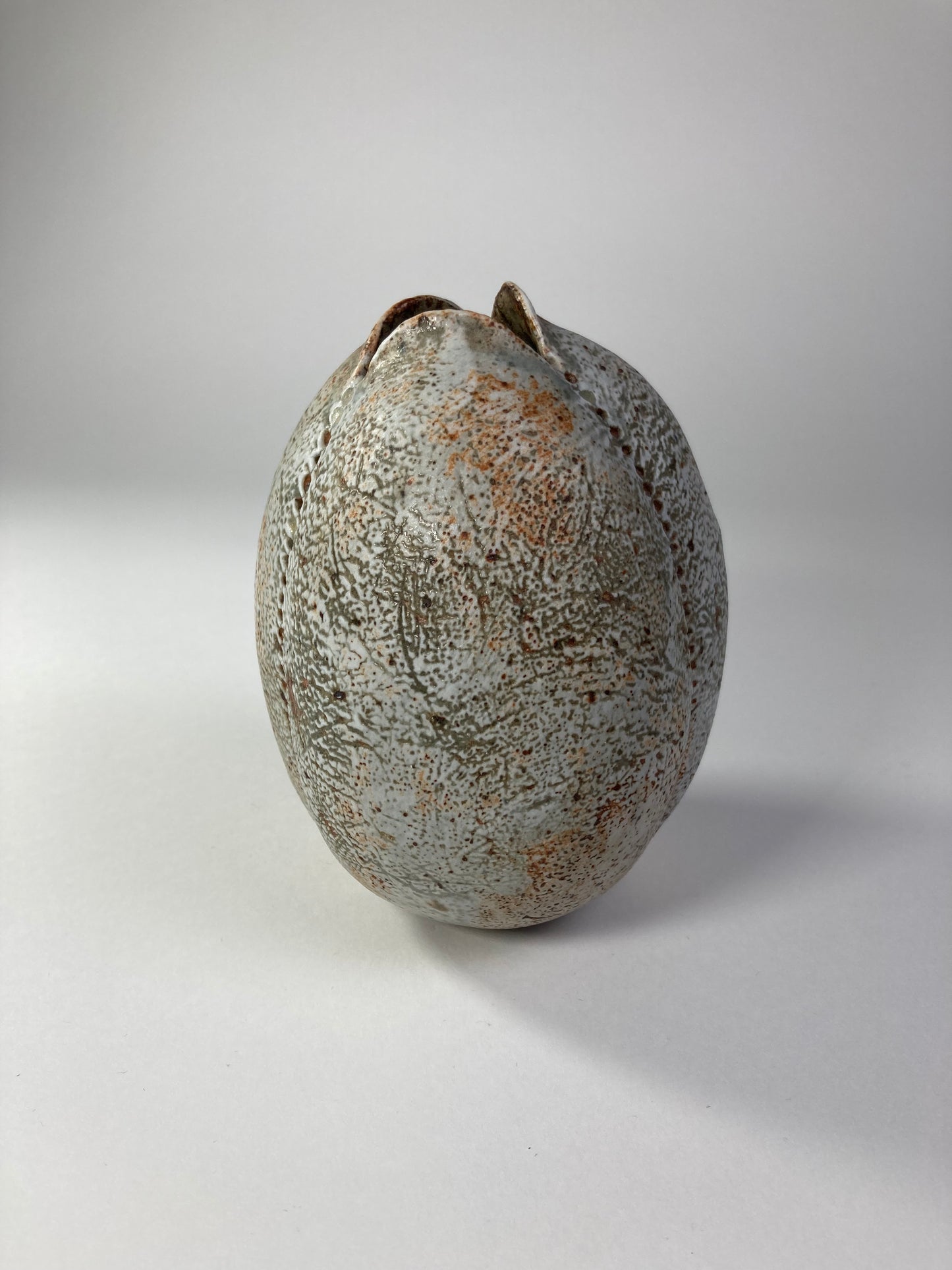 Stoneware Seed Vessel by Alan Wallwork