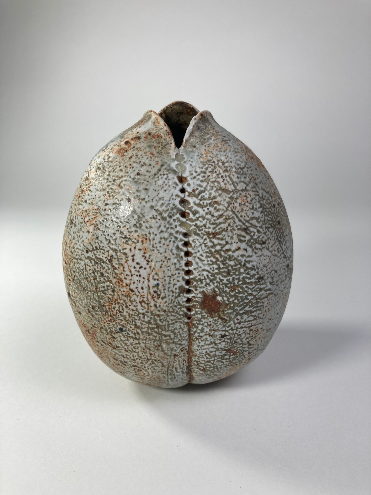 Stoneware Seed Vessel by Alan Wallwork