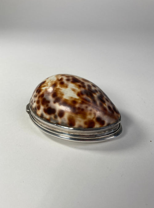 Aeneas Ryan Silver Cowrie Shell Snuff Box side