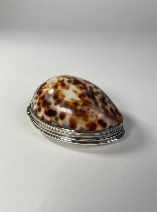 Aeneas Ryan Silver Cowrie Shell Snuff Box side