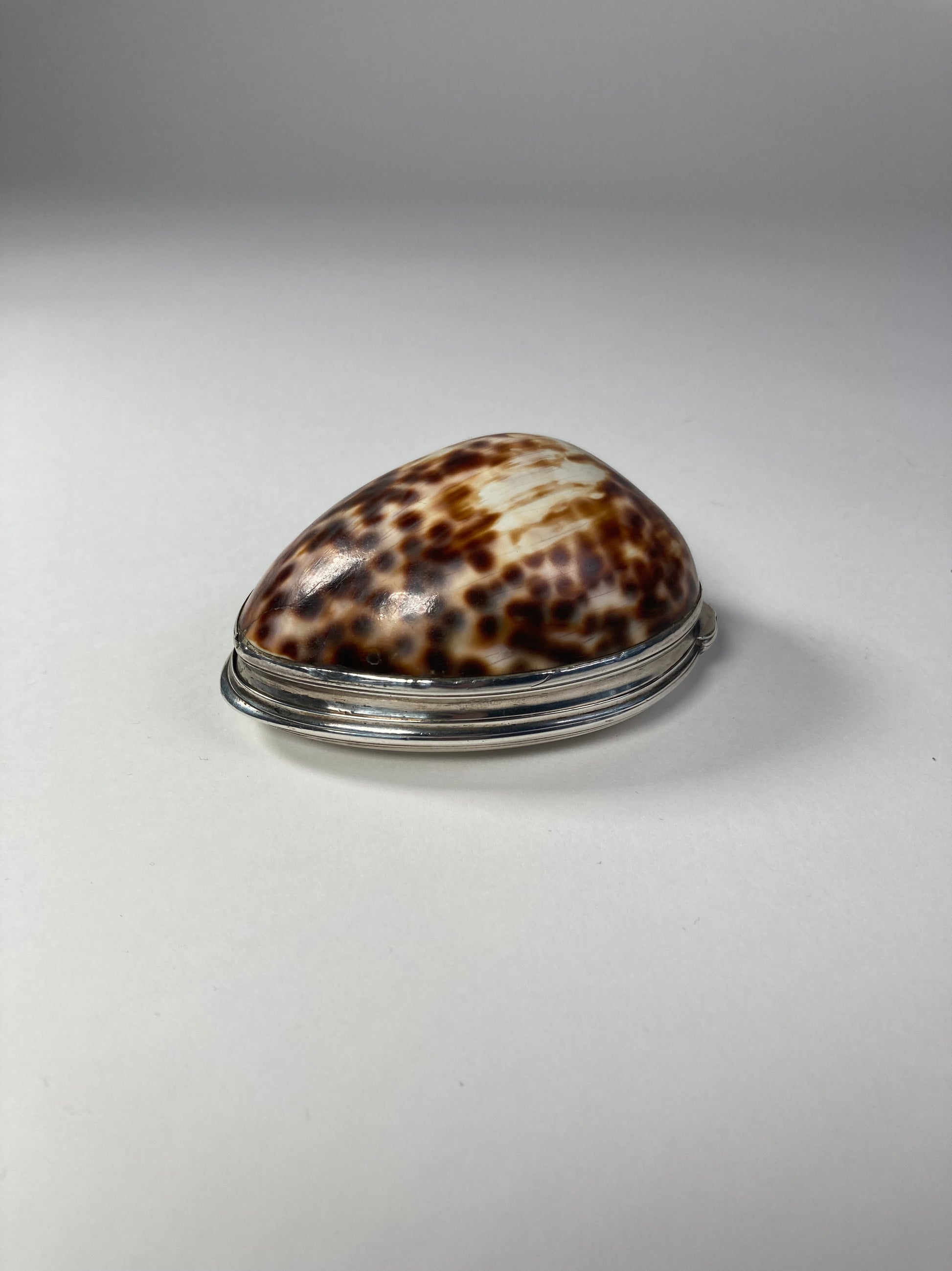 Aeneas Ryan Silver Cowrie Shell Snuff Box other side