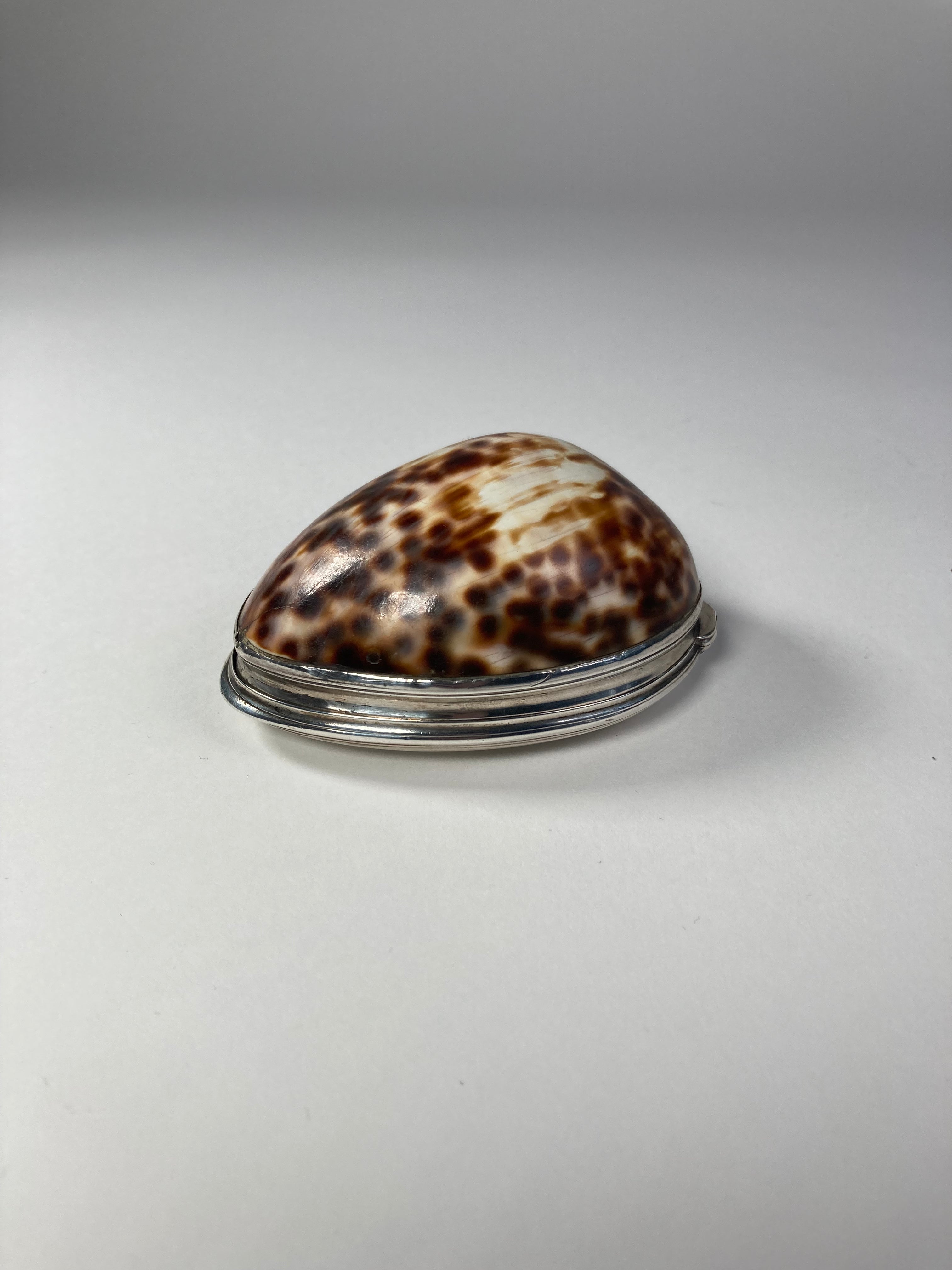 Aeneas Ryan Silver Cowrie Shell Snuff Box other side
