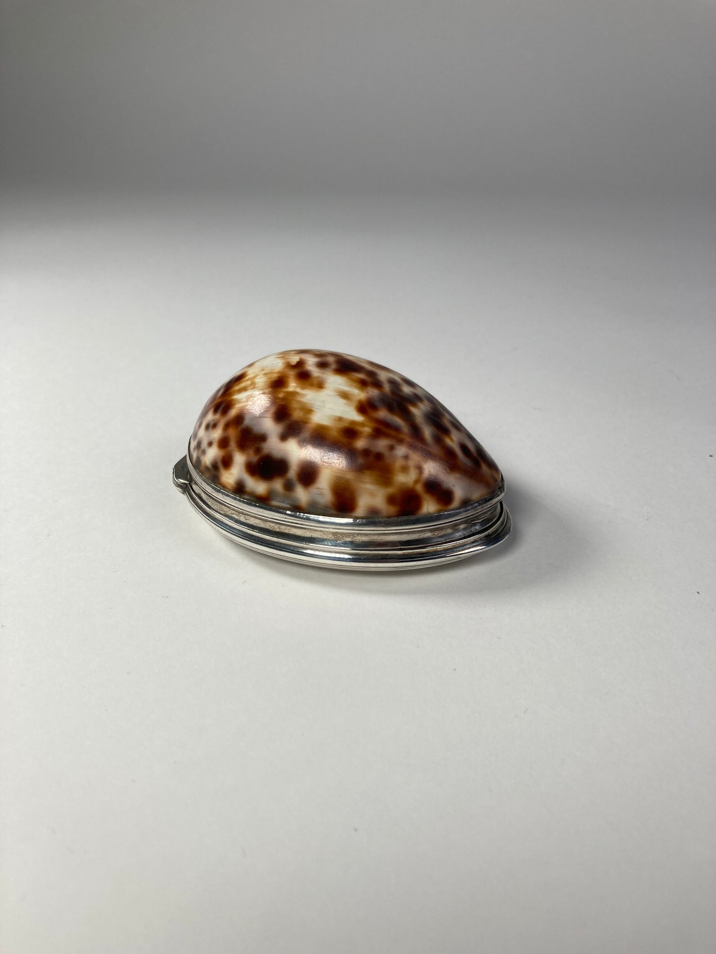 Aeneas Ryan Silver Cowrie Shell Box