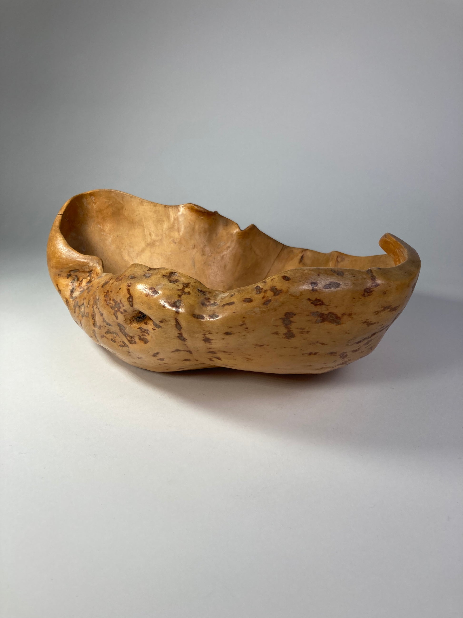 Swedish Organic Burl Root Bowl
