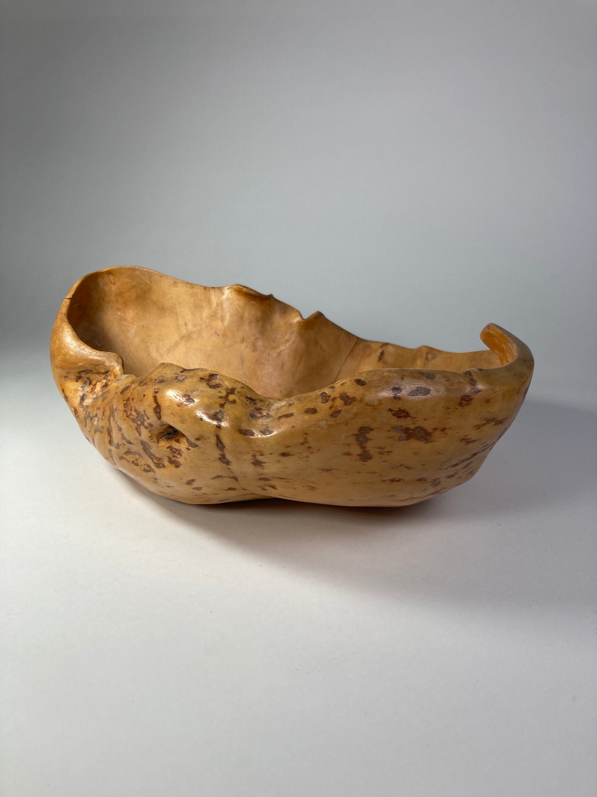 Swedish Organic Burl Root Bowl