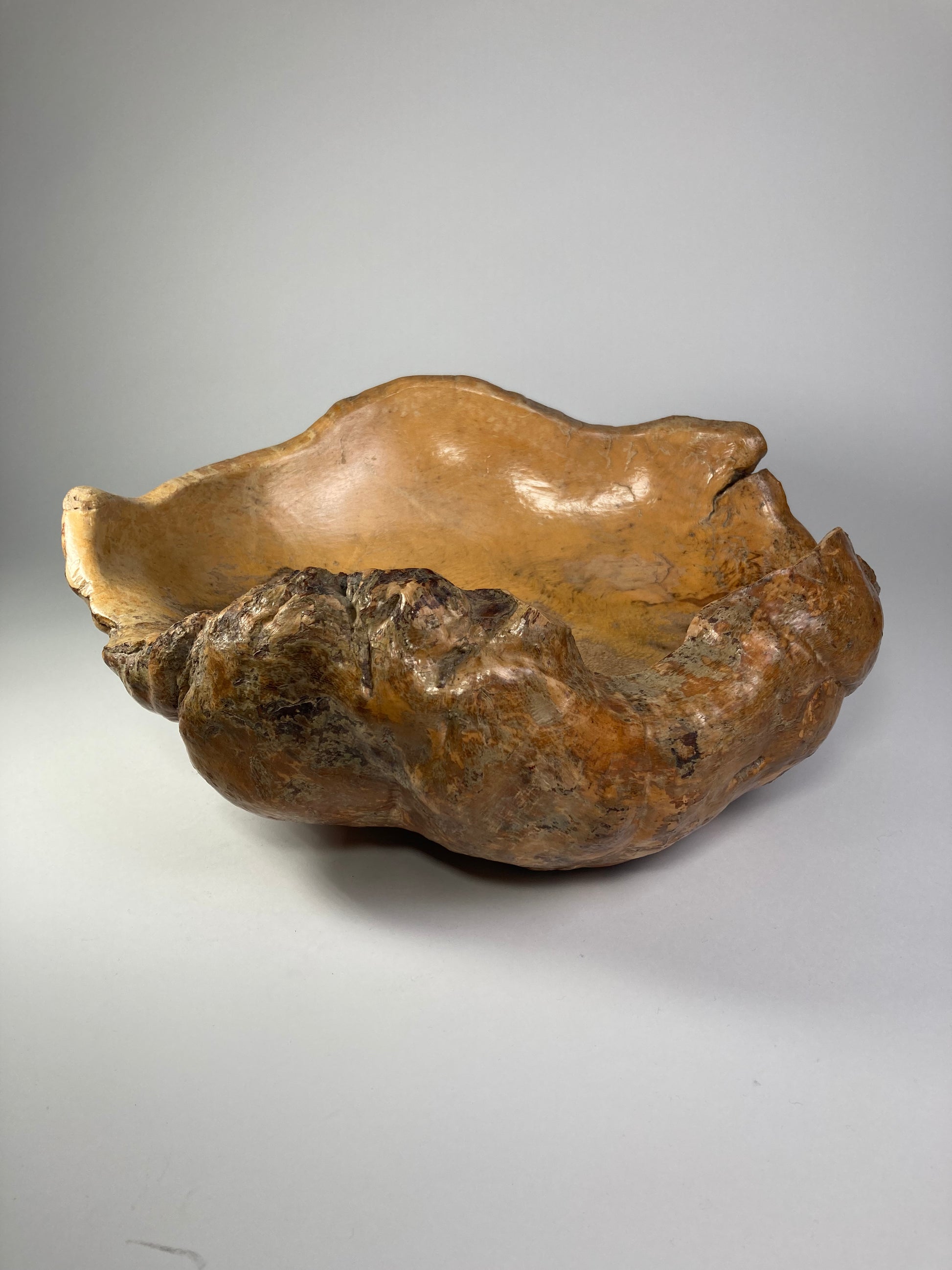 Large Swedish Organic Burl Root Bowl