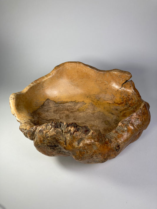 Large Swedish Organic Burl Root Bowl