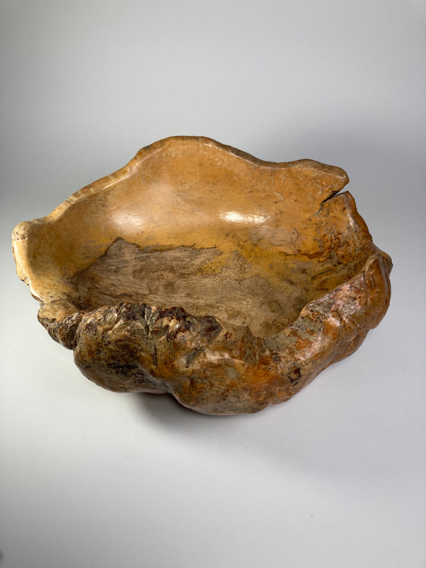 Large Swedish Organic Burl Root Bowl