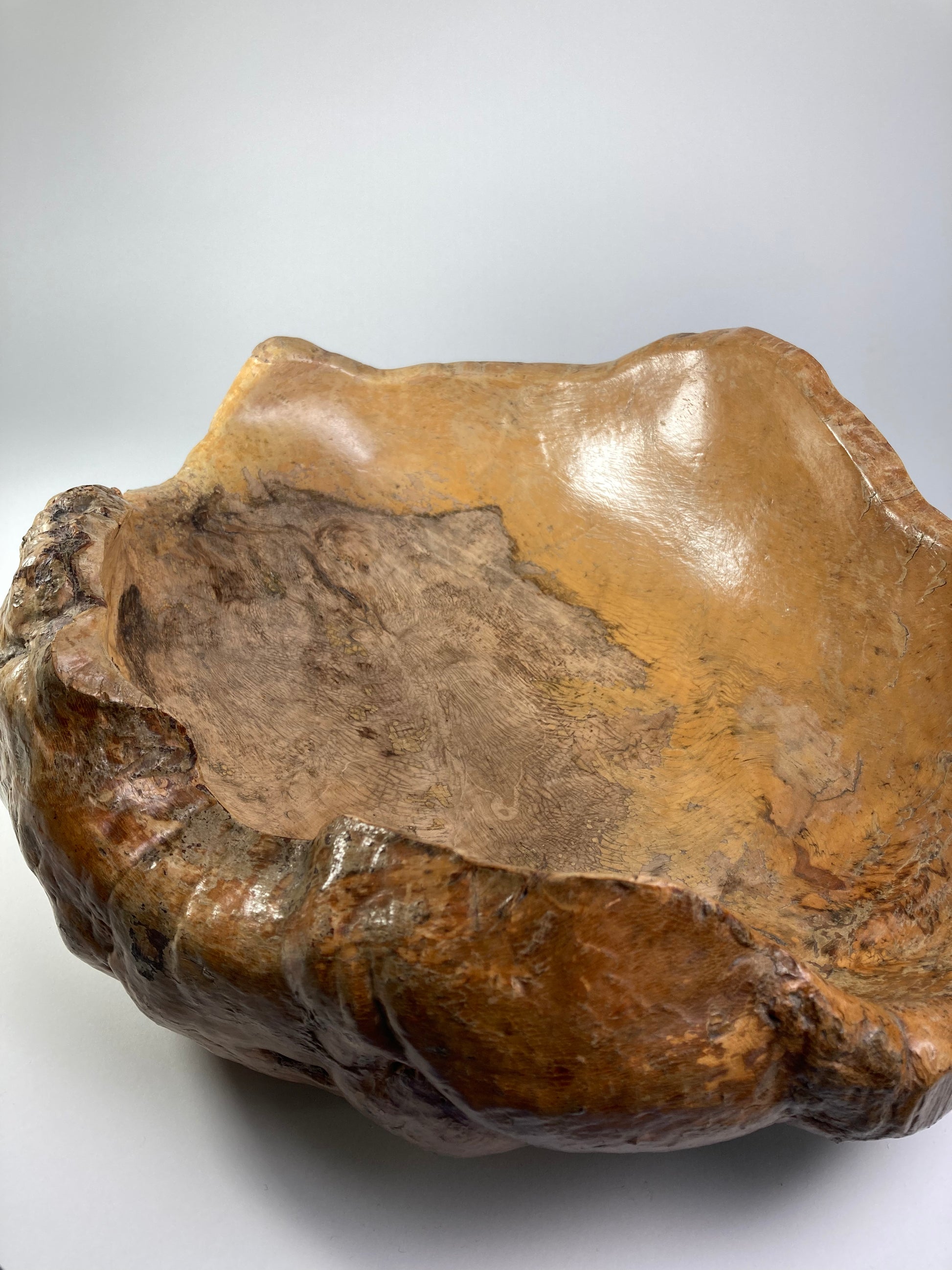 Large Swedish Organic Burl Root Bowl